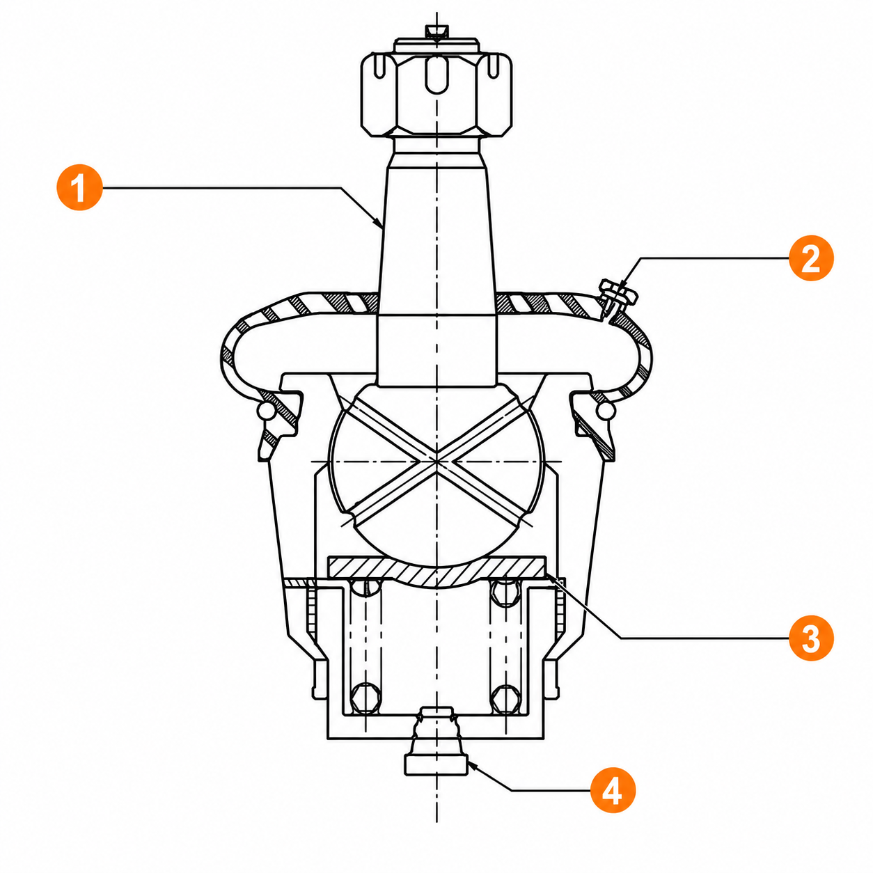 Cross-sectional view of the lower ball joint